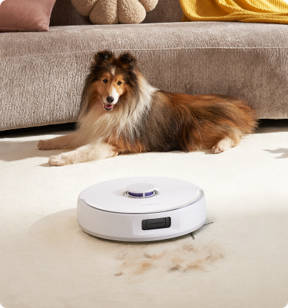 1_985b748c-5d24-4f55-9408-1e5c9b960fc9