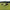 davidbrown_b721d946-f3a9-4036-bc97-d317d08ff697