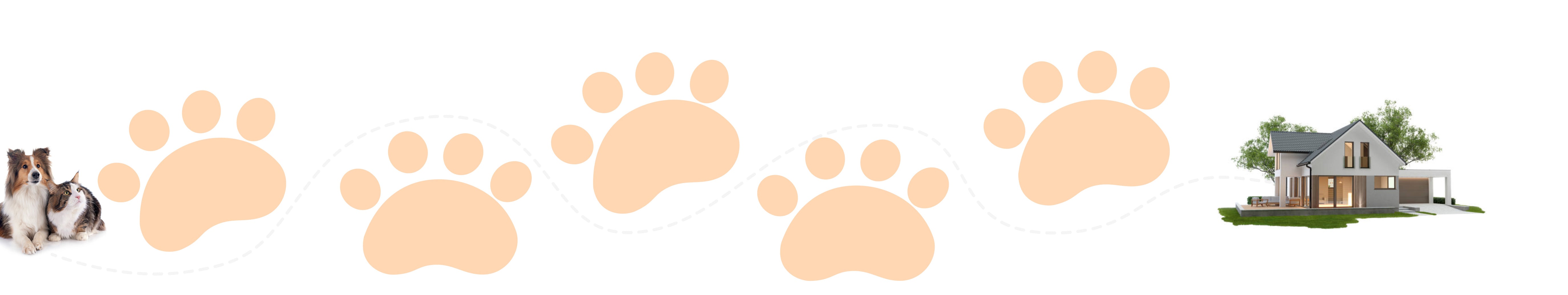 pet-mb-back-image