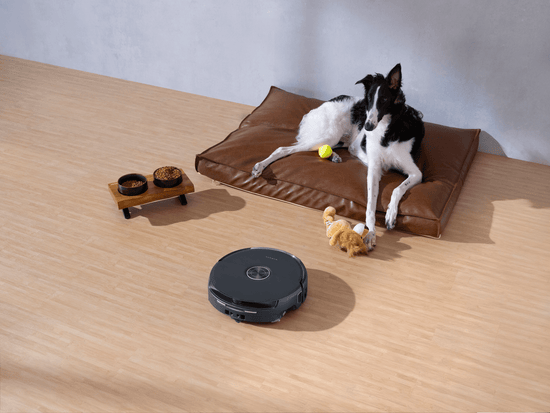 Pulire il pavimento dopo il cane: impronte e fango - Narwal IT