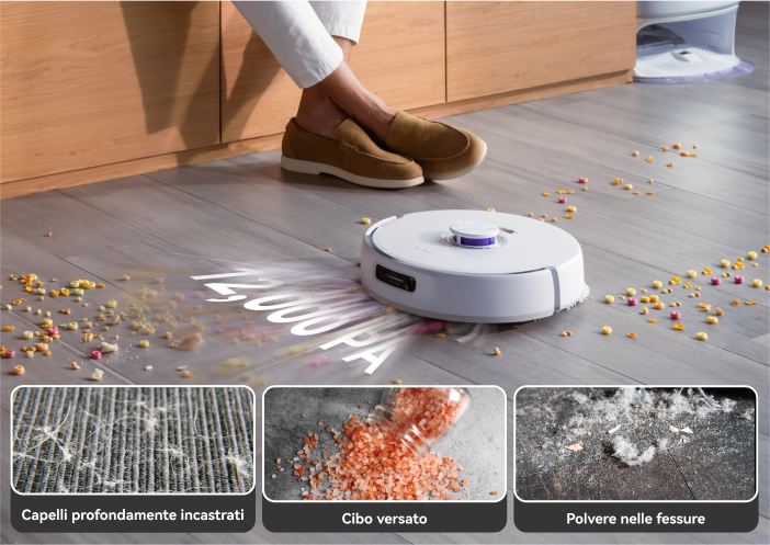 Frame_1312317705_97bff2bc-c640-48c1-ad35-fd8d5bf8b792