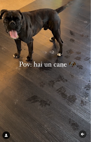 screenshot-20240614-181717_1