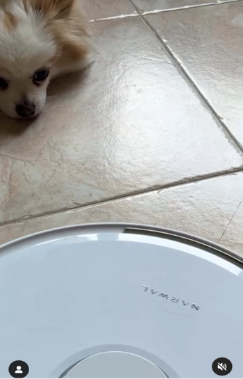 screenshot-20240617-111638_1